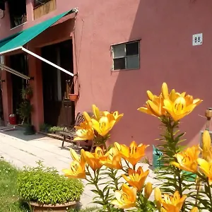 Ecogarden With Kemping